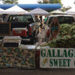 Gallagher's Centennial Farm Farmer's Market Booth